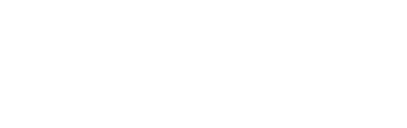 Provincie Flevoland logo